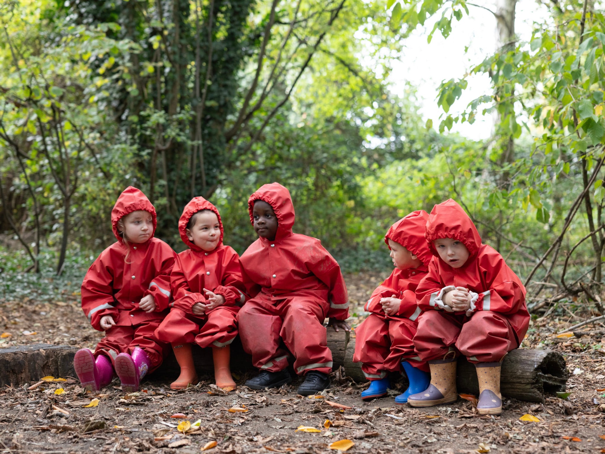 Wrens in the forest Children in red, forest suits